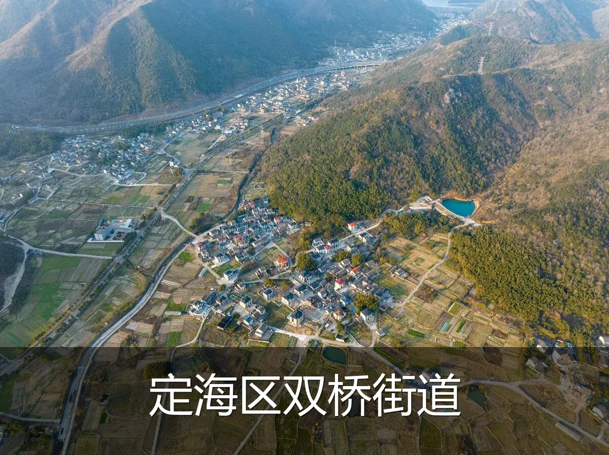 定海区双桥街道