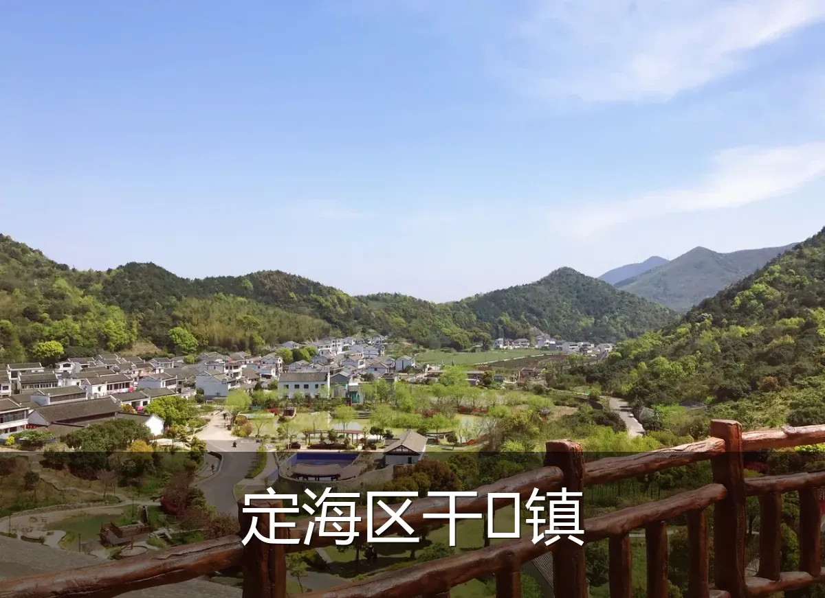 定海区干镇
