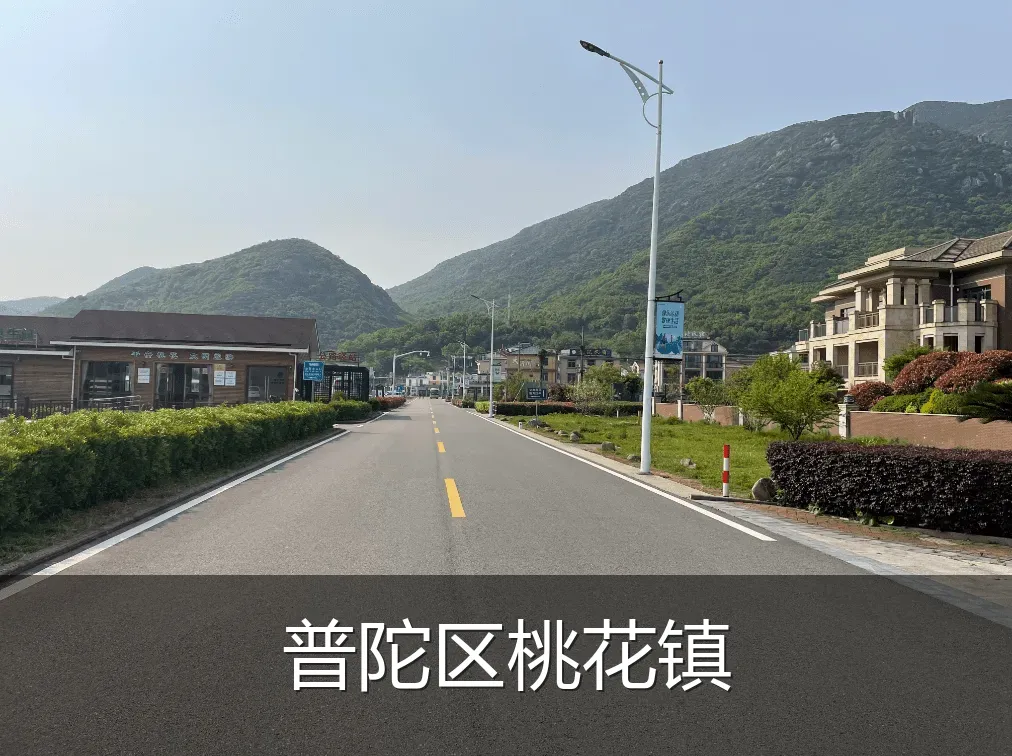 普陀区桃花镇